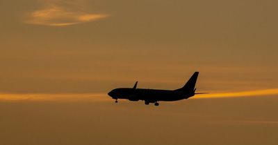 Passengers to face disruption due to cancelled flights – industry boss