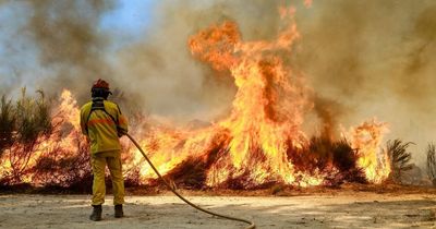 Wildfires rage through Portugal injuring at least 29 people as mercury to reach 43C