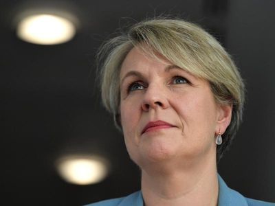 Govt asked to review fossil fuel projects