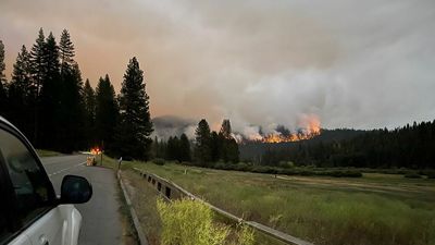 Yosemite crews rush to protect sequoias as uncontained wildfire swells to over 2,000 acres