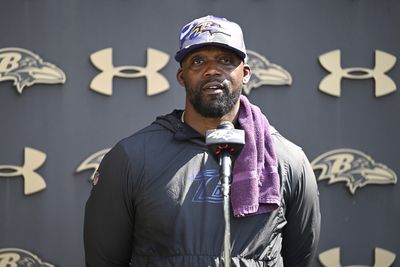 Ravens pass game coordinator and secondary coach Chris Hewitt expresses excitement about new additions