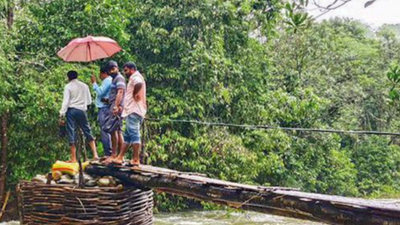 Karnataka: Bridge collapses in village