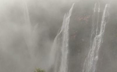 Video | Good part of heavy rains in Karnataka: Jog Falls is glowing