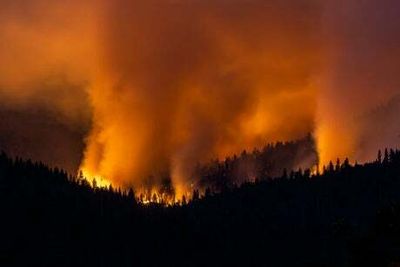 Wildfire threatens Yosemite’s giant sequoias - the world’s largest trees