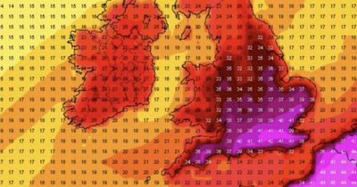 Weather Dublin: Ireland could see edge of 43C heat as UK prepare for 'worst case scenario'