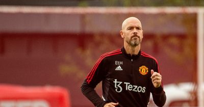 Erik ten Hag can use pre-season tour to make a decision on his £9m Manchester United wildcard