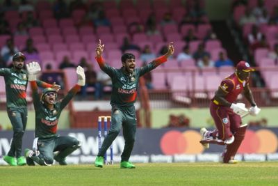 Mehidy shines in 'ideal conditions' as Bangladesh stop rot