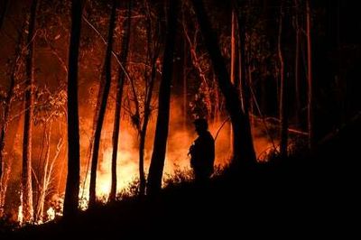 Portuguese wildfires injure 29 as 2,000 firefighters battle blaze