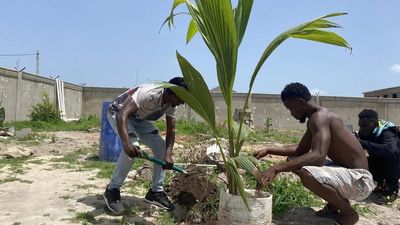 Gambian musician Sana Singhateh launches 'one million trees' planting initiative