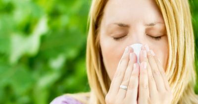 Liverpool pollen levels 'very high' as UK basks in July heatwave