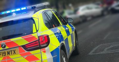 Woman taken to hospital after cow on EK road causes four-car smash