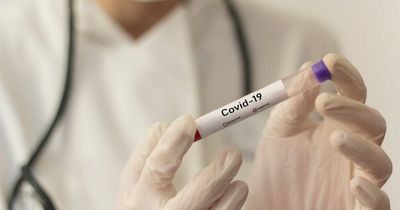 Latest Covid symptoms that mean you should isolate now as summer wave continues