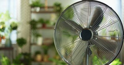 UK Heatwave: How much running a fan for a night costs and why you shouldn't do it