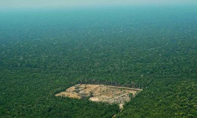 Humans need to value nature as well as profits to survive, UN report finds