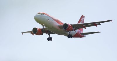 TUI, Jet2, EasyJet, Ryanair: Airlines share time to arrive at the airport for a flight