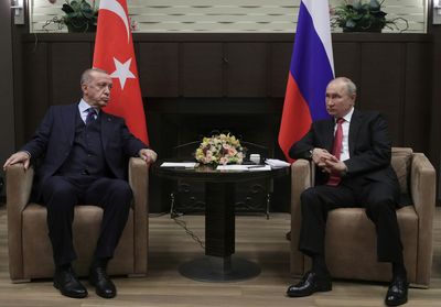 Putin and Erdogan hold talks on grain shipments, Kremlin says