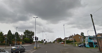 'Persistent' man drove dangerously on stolen moped in police chase