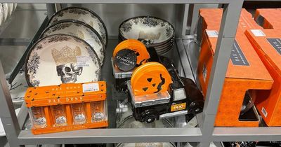 TK Maxx shoppers 'can't believe their eyes' as Halloween décor arrives on store shelves