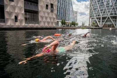 Canary Wharf launches new open water swimming venue in heart of Docklands