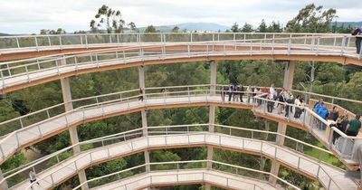 We visited the huge new treetop walk, viewing tower, and slide Beyond The Trees in Wicklow
