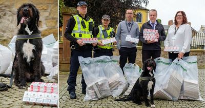 Sniffer dog unearths Scotland's biggest ever illegal cigarette haul in Ayrshire as pooch finds £134,000 worth of dodgy goods
