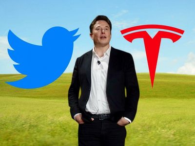 Analyst Weighs In On How Twitter and Tesla Shares May React To Termination Of Musk-Twitter Deal