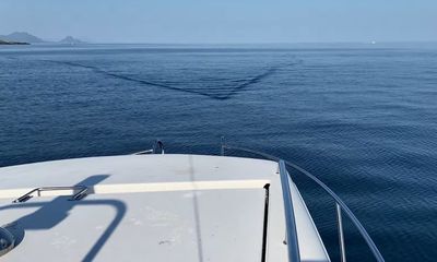 Watch: Shark creates intimidating wake as it approaches anglers