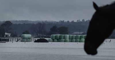 Hunter takes stock as photos reveal the extent of flood damage
