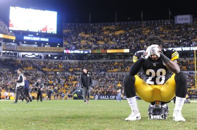 Pittsburgh Steelers fans viciously mock stadium’s new name