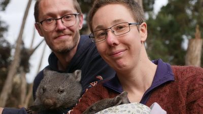 Tasmanian wildlife carers invest house savings in new wildlife charity