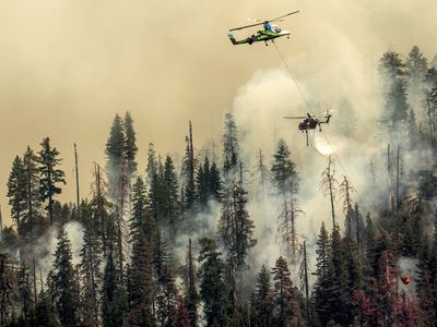 Wildfire near Yosemite National Park threatens its largest grove of sequoia trees