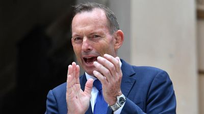 Ex-PM Abbott calls for details on Voice