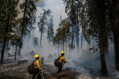US firefighters race to protect Yosemite's giant sequoias