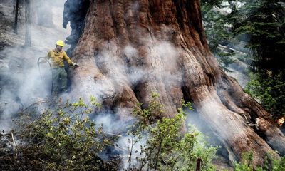 Firefighters attempt to save giant sequoias as Yosemite wildfire grows