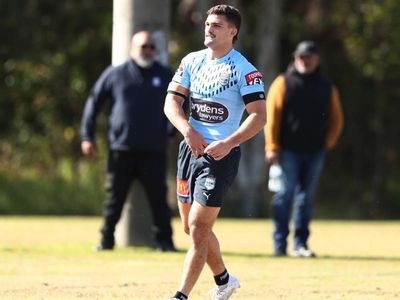 Panthers to rest all their Origin players