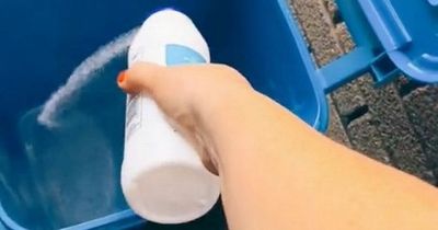 'Genius' hack to stop flies getting into your wheelie bin that costs as little as 30p