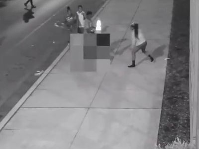 Two brothers turn themselves in for beating man, 73, to death with a traffic cone, police say