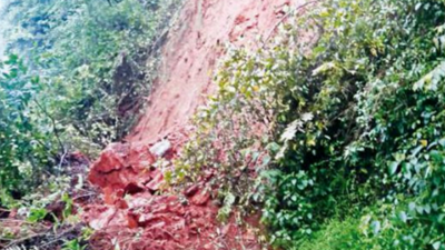Karnataka: Greens oppose proposal for ropeway at Mullayanagiri hill