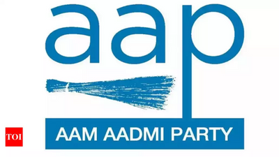 AAP makes Punjab appointments