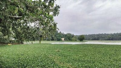 Thiruvananthapuram: Concern over poor water quality