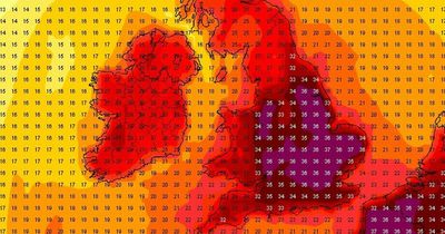 Dublin weather: Expert warns we could almost hit highest ever temperature in days