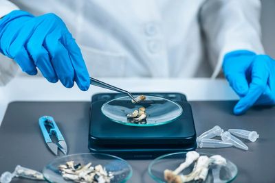 Regular tiny doses of psychedelic mushroom found to improve mood, mental health