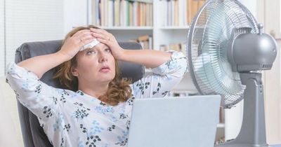 Brits given 'sunny day' sudden holidays to stop them pulling heatwave sickies