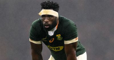 South Africa name formidable team for Wales decider amid 10 changes as superstars return