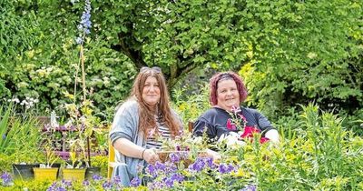 Therapeutic benefits of gardening to be highlight of Perth and Kinross Mental Health and Wellbeing Festival