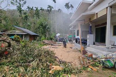 Storm winds batter southern villages, orchards