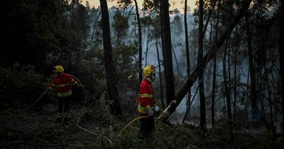 Portugal issues urgent wildfire warning to UK tourists following extreme heatwave