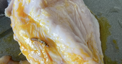 Mum felt physically sick after finding worm in her recipe box chicken
