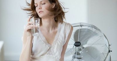 Heatwave tricks to keep cool on a budget - including curtain tip and ice water fan