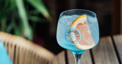 Shopper's can 'raise a glass' to selected gin brands in Amazon Prime Day sale